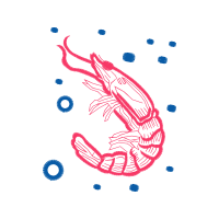 Illustration Animals