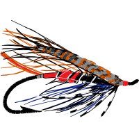 Illustration Animals Illustration Animals