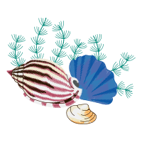 Illustration Animals