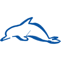 Illustration Animals Illustration Animals