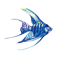 Illustration Animals Illustration Animals