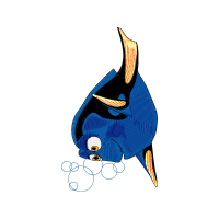 Illustration Animals