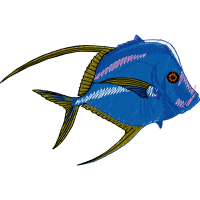 Illustration Animals