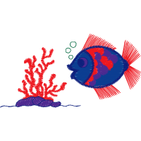 Illustration Animals