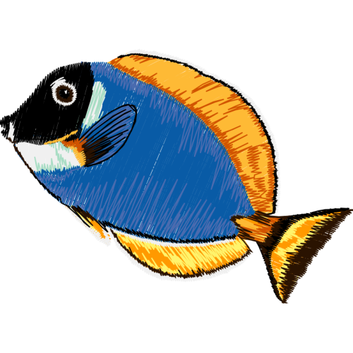 Illustration Animals Illustration Animals