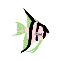 Illustration Animals Illustration Animals