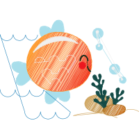 Illustration Animals