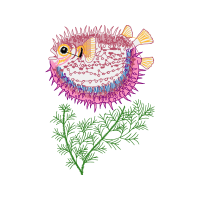 Illustration Animals