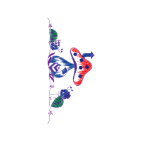 Illustration Animals Illustration Animals