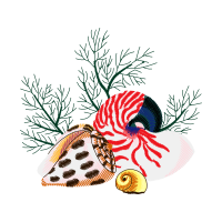 Illustration Animals