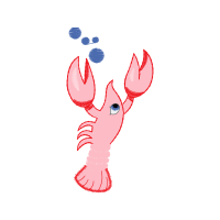 Illustration Animals