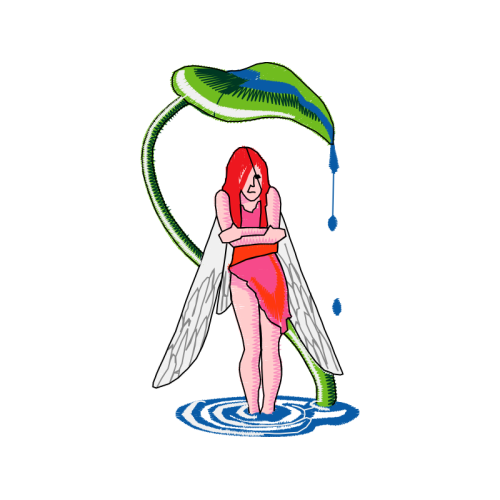 Illustration Animals Illustration Animals