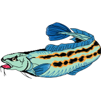 Illustration Animals Illustration Animals