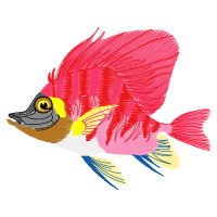 Illustration Animals Illustration Animals