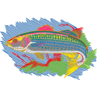 Illustration Animals Illustration Animals