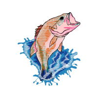 Illustration Animals Illustration Animals