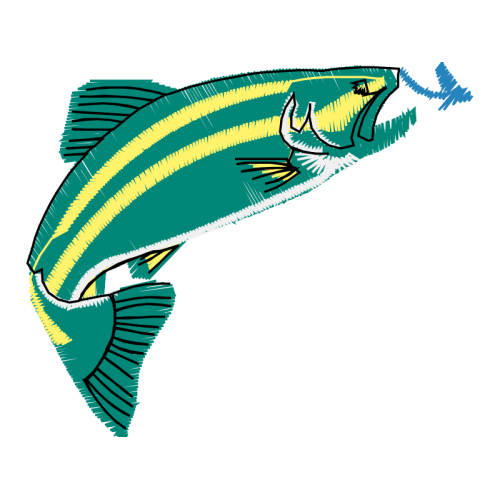 Illustration Animals Illustration Animals