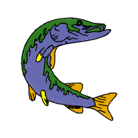 Illustration Animals Illustration Animals