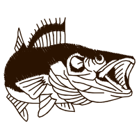 Illustration Animals Illustration Animals