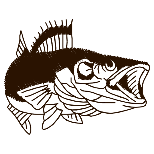 Illustration Animals Illustration Animals