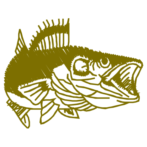 Illustration Animals Illustration Animals