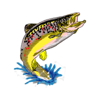 Illustration Animals Illustration Animals