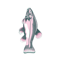 Illustration Animals Illustration Animals