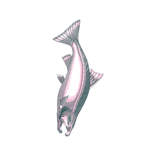 Illustration Animals Illustration Animals