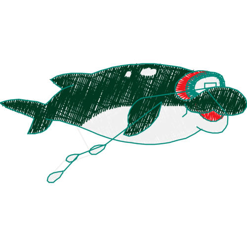 Illustration Animals Illustration Animals