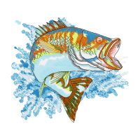 Illustration Animals