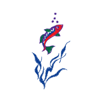 Illustration Animals Illustration Animals