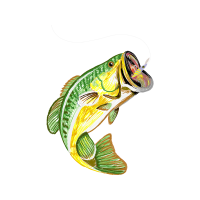 Illustration Animals