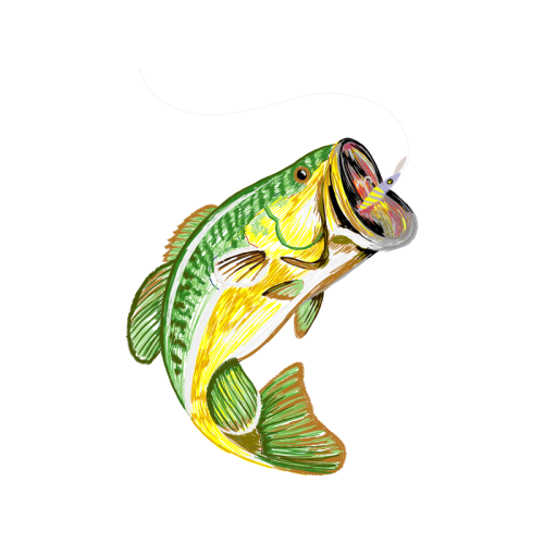 Illustration Animals Illustration Animals