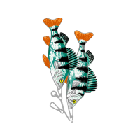 Illustration Animals