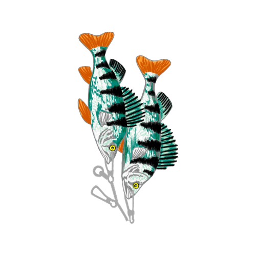 Illustration Animals Illustration Animals