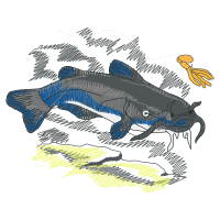 Illustration Animals