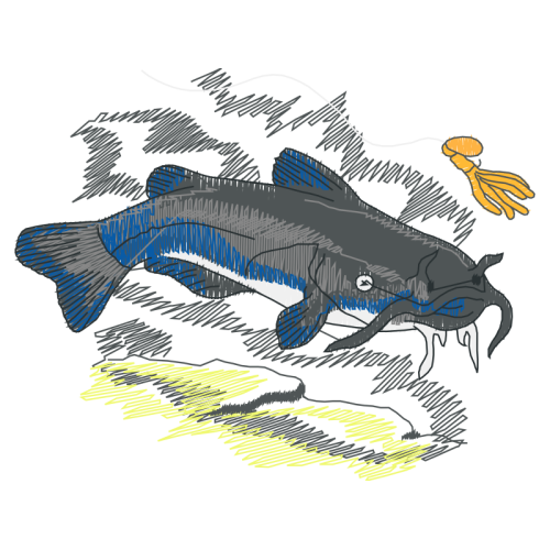 Illustration Animals Illustration Animals