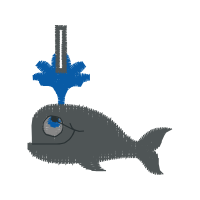 Illustration Animals