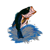 Illustration Animals Illustration Animals