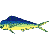 Illustration Animals Illustration Animals