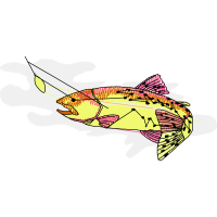 Illustration Animals Illustration Animals