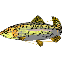 Illustration Animals Illustration Animals