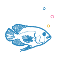 Illustration Animals Illustration Animals