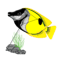 Illustration Animals Illustration Animals