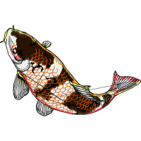 Illustration Animals