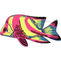 Illustration Animals