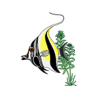 Illustration Animals Illustration Animals