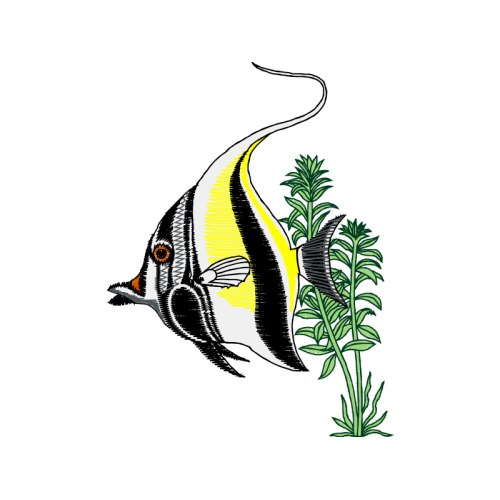 Illustration Animals Illustration Animals