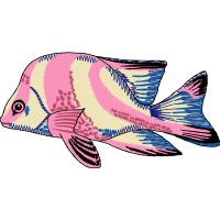 Illustration Animals