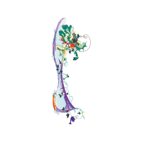 Illustration Animals Illustration Animals